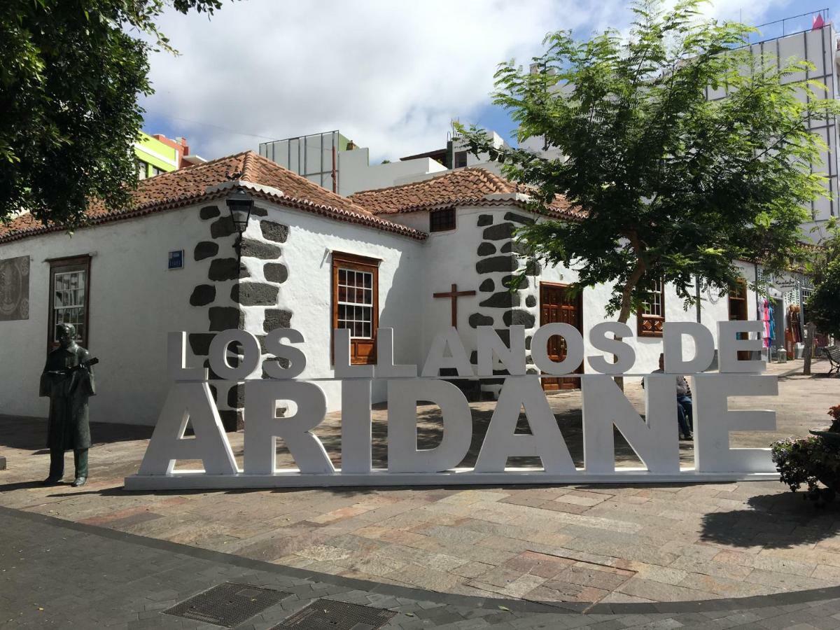 לוס יאנוס דה אריאדנה Apartamentos Los Laureles מראה חיצוני תמונה